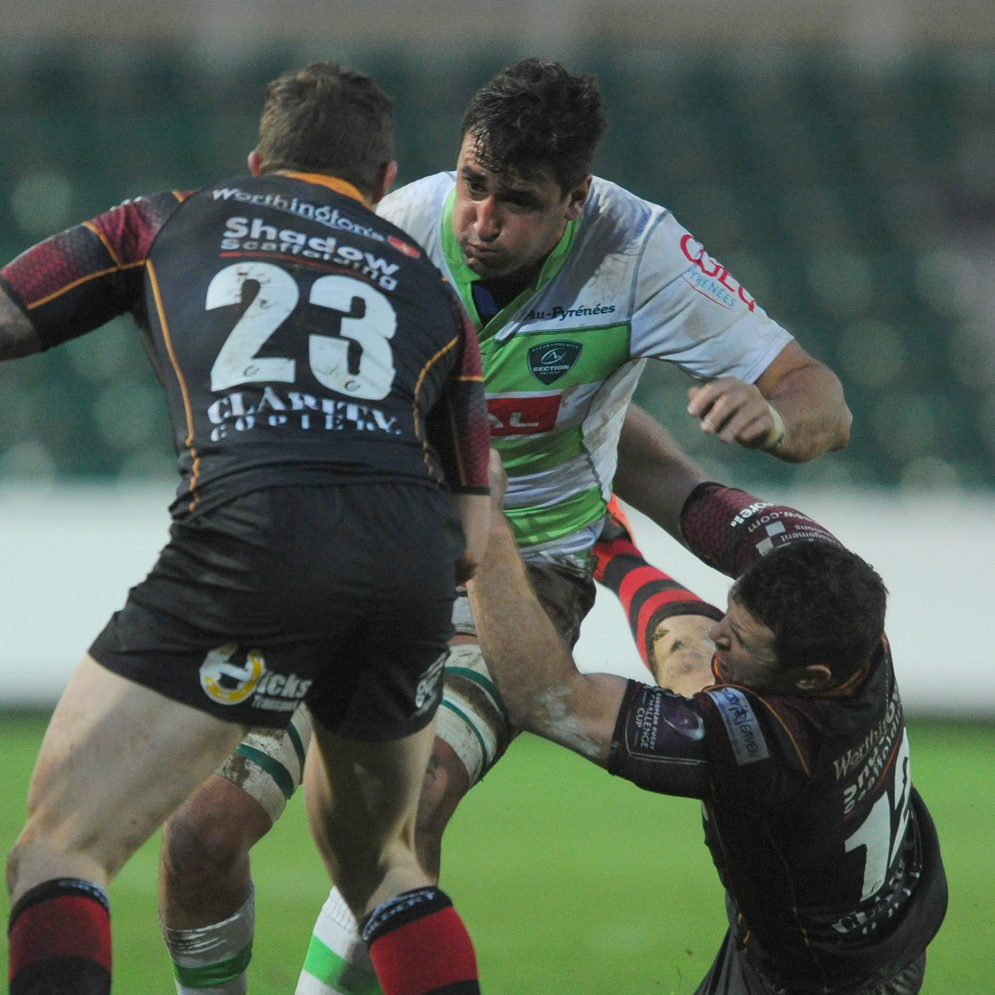 Daniel Ramsay Rugby | Daniel Ramsay News, Stats & Team | RugbyPass