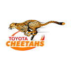 Cheetahs