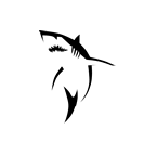 Tasman