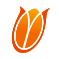 Netherlands U20