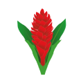 Samoa U20