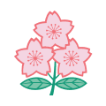 Japan Women