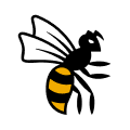 Wasps