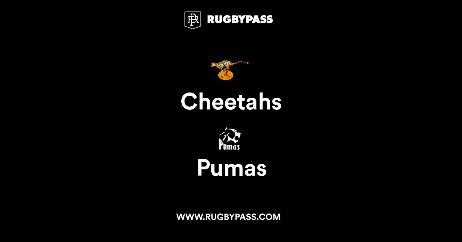 Cheetahs vs Pumas Live & Latest Rugby Union Scores & Results RugbyPass