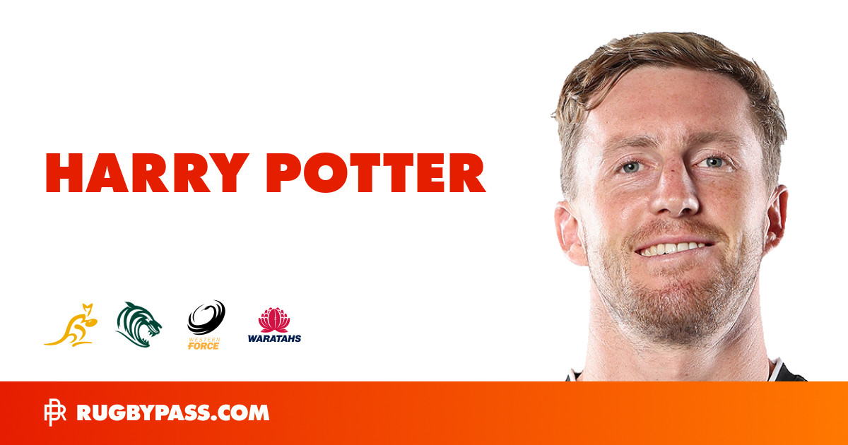 Harry Potter Rugby Bio | News, Stats, Age, Height & Team | RugbyPass