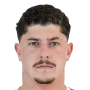 Pellegrini