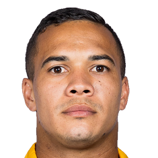Cheslin Kolbe