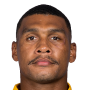 Willemse