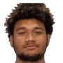 Taulani