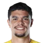 Punivai