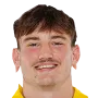 Bollengier