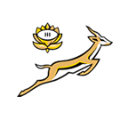 South Africa Women's