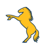 Brumbies Rugby
