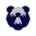 Bristol Bears Women