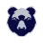 Bristol Bears Women