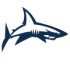 Sale Sharks Women