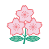 Japan XV