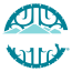 Matatu Women