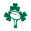 Ireland XV