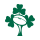 Ireland XV