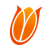 Netherlands Women