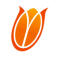 Netherlands Women