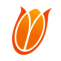 Netherlands Women