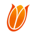 Netherlands Women