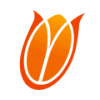 Netherlands Women
