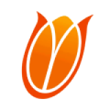 Netherlands Women