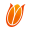 Netherlands Women