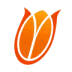 Netherlands Women