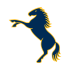 ACT Brumbies Women