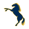 ACT Brumbies Women