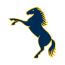 ACT Brumbies Women