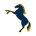 ACT Brumbies Women