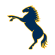 ACT Brumbies Women