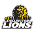 Wellington Pride