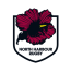 North Harbour Hibiscus