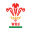 Wales U20