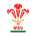 Wales U20