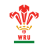 Wales U20