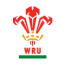 Wales U20