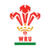 Wales U20