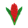 Samoa U20