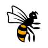 Wasps