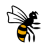 Wasps