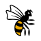 Wasps