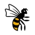 Wasps
