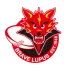 Toshiba Brave Lupus Tokyo